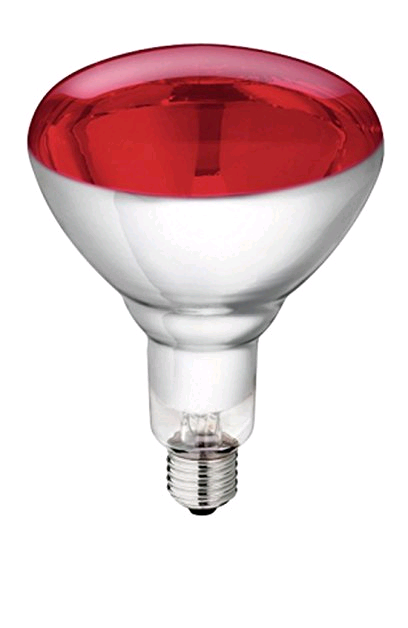 Crompton Ruby 250ES Infra Red Lamp RED 