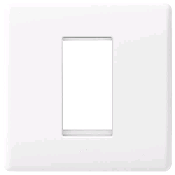 BG Euro Module 1 Gang Front Plate