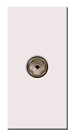 BG Euro Module Female TV