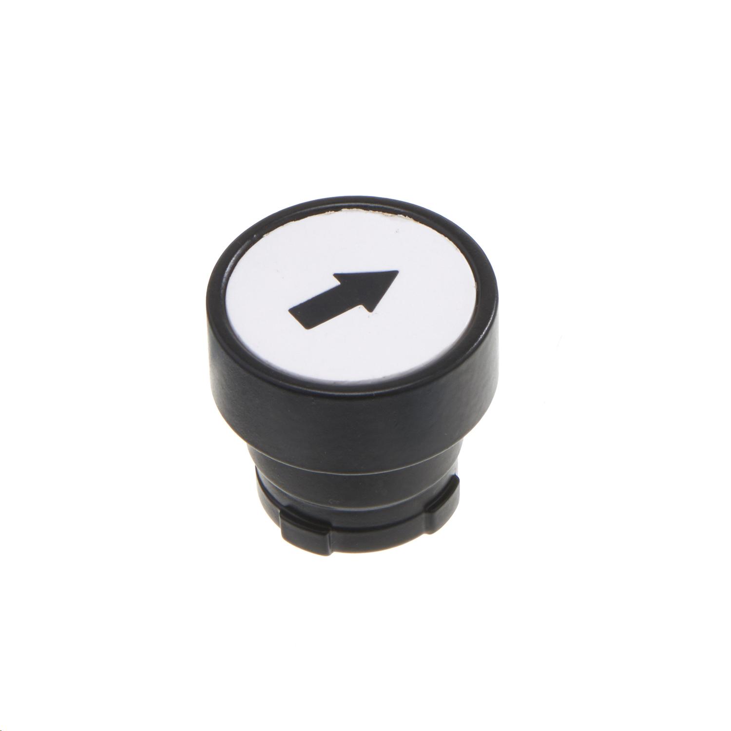 Europa Standard Flush Push White Button Black Arrow