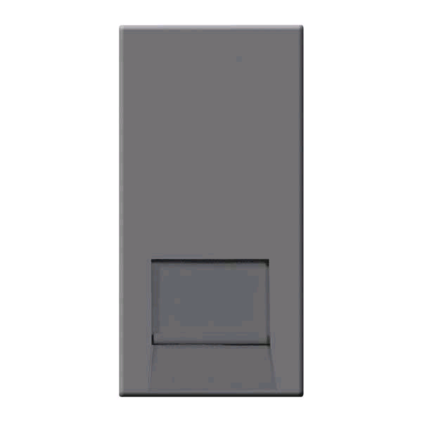 BG Euro Module BT Master Grey Screw Type
