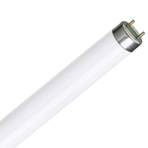 Lamp Fluorescent 4ft 36w T8 Daylight 