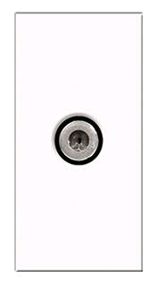 BG Euro Module Satellite White