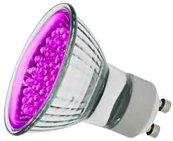 Deltech 1.5w Pink LED GU10 