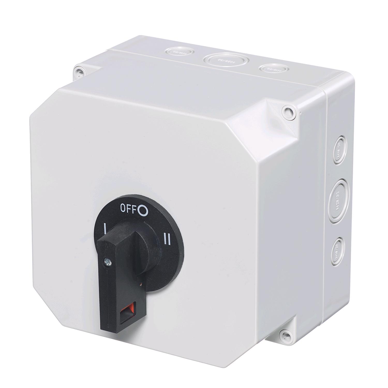 Europa 63A 2 Pole Changeover Switch (Insulated Enclosure)