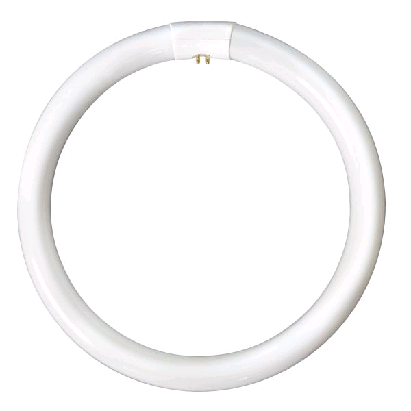 Lamp Fluo Circular 16in 60w Warm White