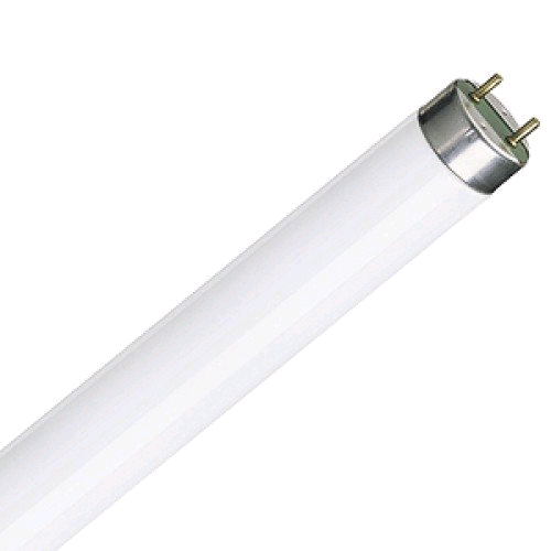 Lamp Fluorescent 6ft 70w T8 Daylight 