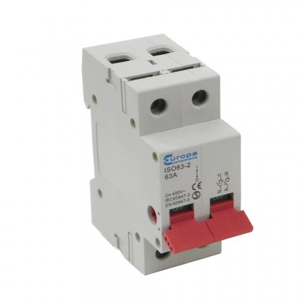 Europa 100A 2 Pole Main Switch 