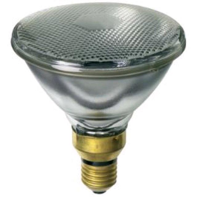 Lamp PAR38 120W ES Spot 