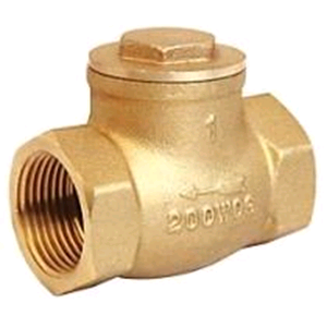 Brass 1" Swing Check Valve 