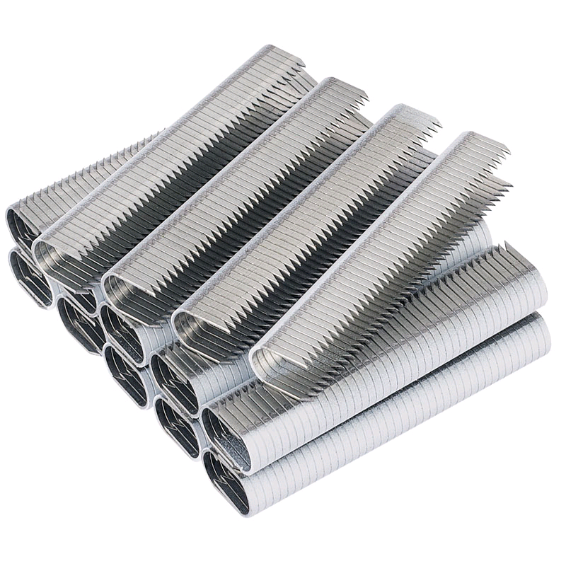 Draper 10mm Staple (pack of 1000)