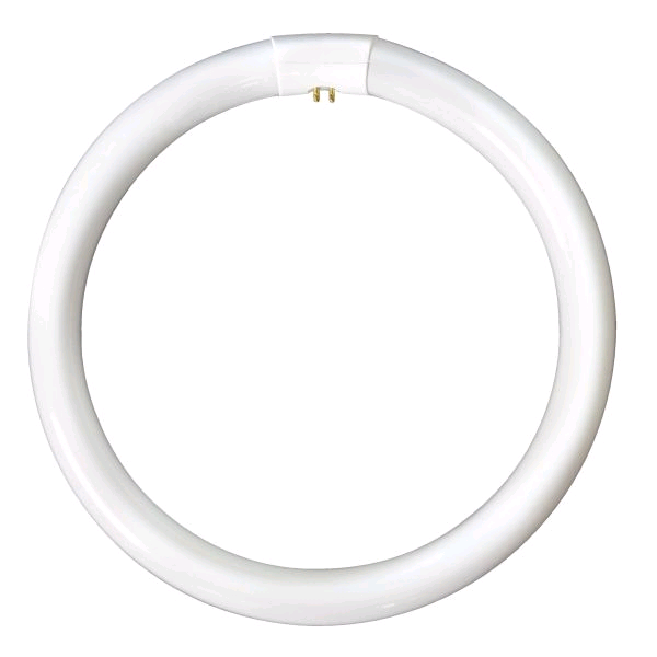 Lamp Fluorescent Circular T9 8in 22w Cool White 