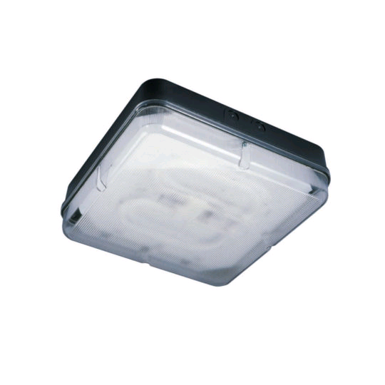 ASD 16w Mini Pizza Square Black Opal