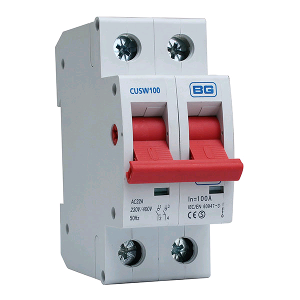 BG DP 100a Main Switch
