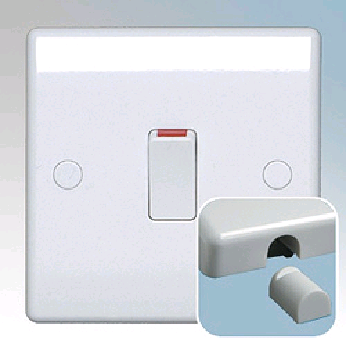 BG 20a Double Pole Switch with Flex Outlet 