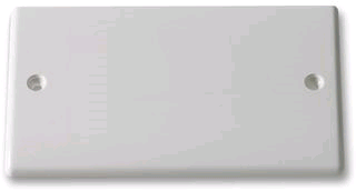 BG 2 Gang Blank-plate