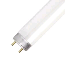 Lamp Fluo 2ft 20w T12 White