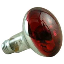 Lamp Diffused 60w R80 Red 
