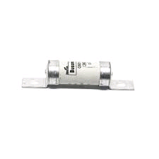 Fuse 100amp OSD100