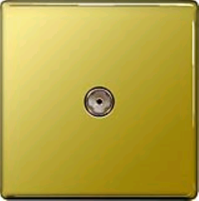 BG 1Gang TV Point Flatplate Polished Brass 