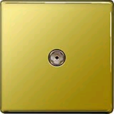 BG 1Gang TV Point Flatplate Polished Brass