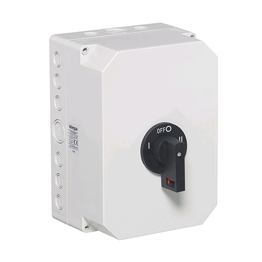 Europa 100a 2 Pole Changeover Switch (Insulated Enclosure) 