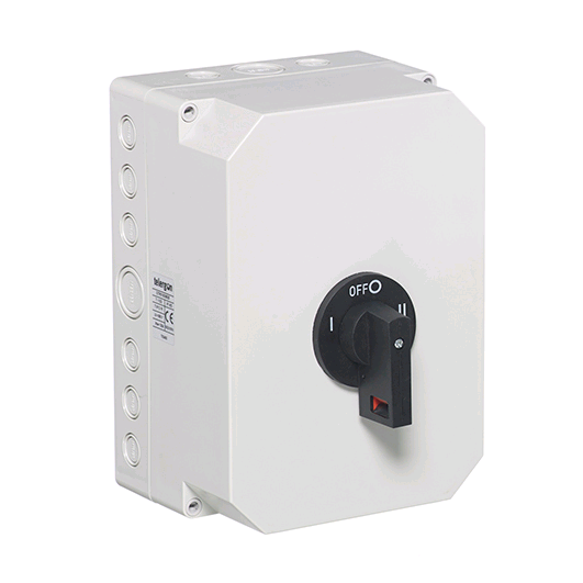 100a 2 Pole Changeover switch (Insulated Enclosure)