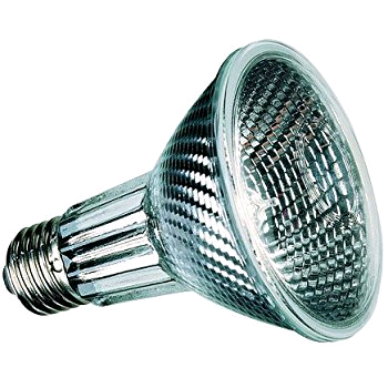 Lamp Halogen HiSpot 50w R80 ES 