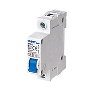 Chint 50A Single Pole 