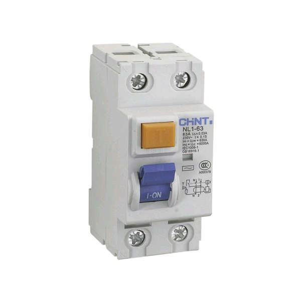 Chint 2Pole RCD 63a 100mA 