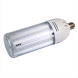 CED ES LED Lamp for Enclosed Fittings 100w