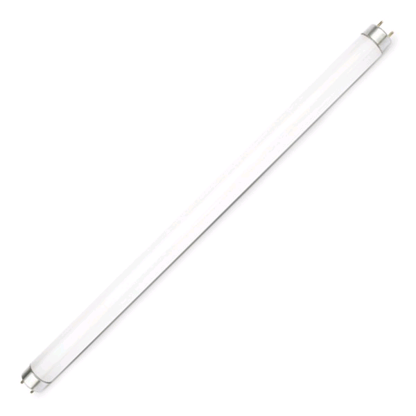 Lamp Fluo 2Ft 18w T8 Daylight