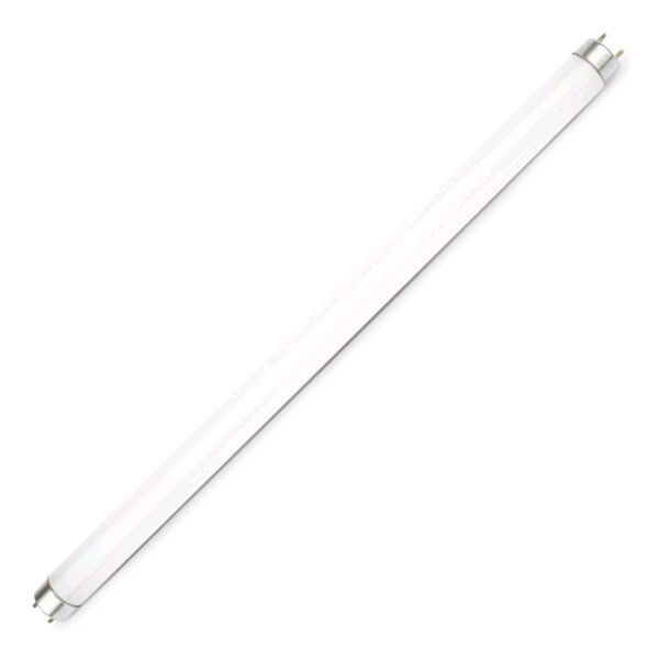 Lamp Fluorescent 2ft 18w T8 Daylight 